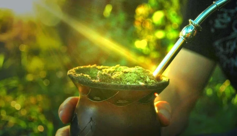Descubra os Benefícios da Erva-mate
