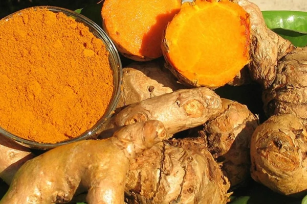 Açafrão-da-terra (Curcuma longa)