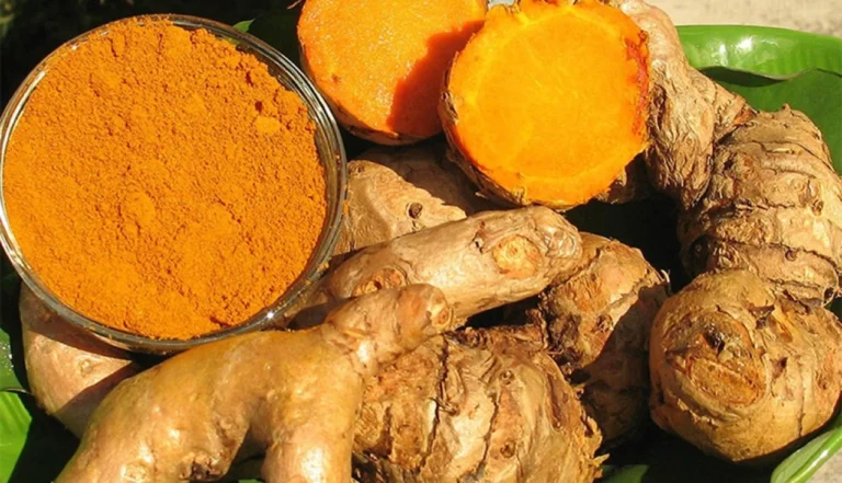 Açafrão-da-terra (Curcuma longa)