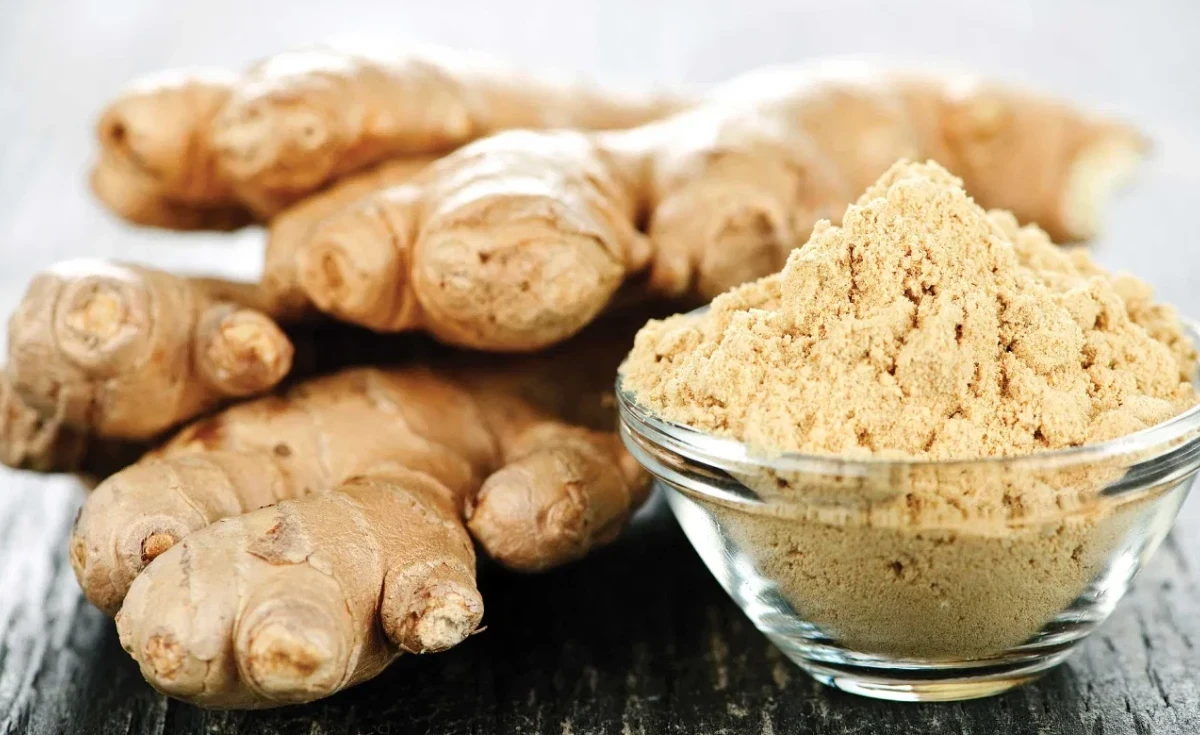 Propriedades do gengibre (Zingiber officinale)