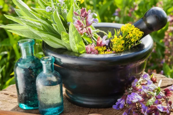 Plantas Medicinais Antiflamatorio