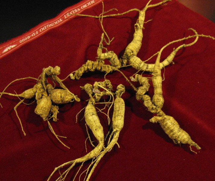 Benefícios do Ginseng Siberiano para Energia e Vitalidade
