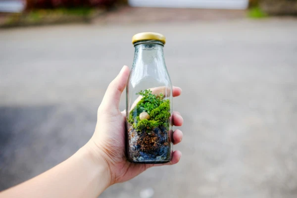 Close-up of a hand holding a glass bottle terrarium with green plants and soil, captured outdoors.