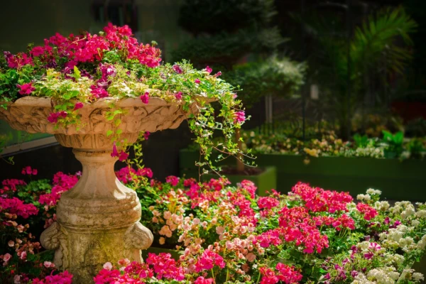 garden, flowers, plants, pink flowers, bloom, beautiful flowers, blossom, flora, floriculture, horticulture, botany, nature, flower garden, spring, park, botanical garden, garden, garden, flower background, garden, flower wallpaper, garden, garden, flowers, flower garden, flower garden