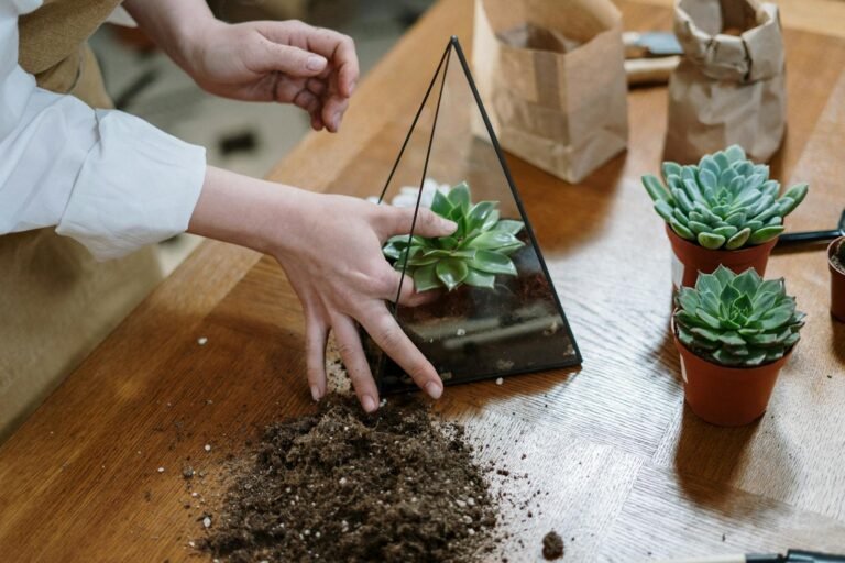 Jardim Minimalista: Beleza e Simplicidade