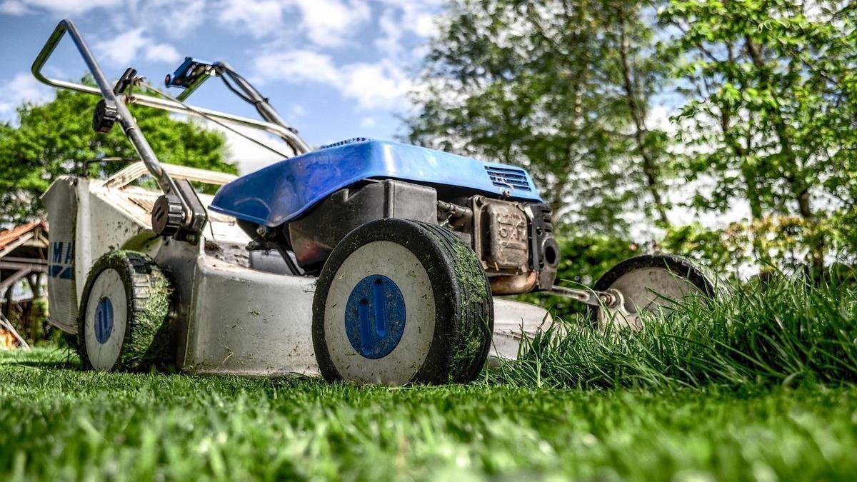 Ferramentas de Jardinagem Que Não Podem Faltar em Casa