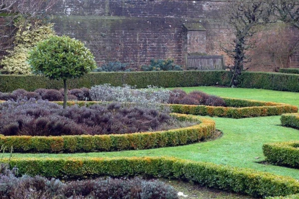 plantas-no-frio-como-proteger