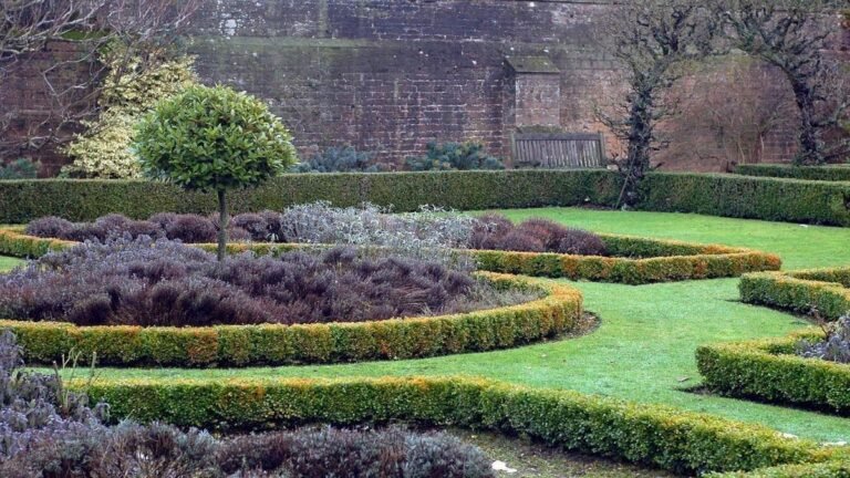 plantas-no-frio-como-proteger