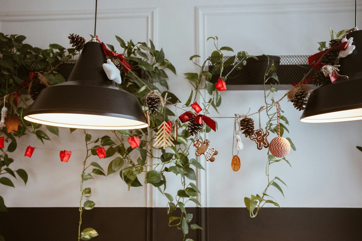 Plantas ideais para decorar