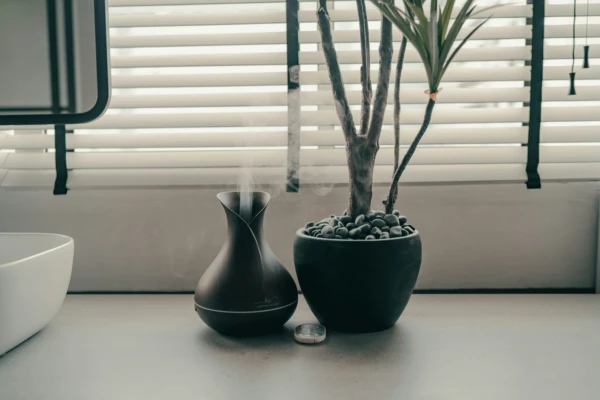 Drenagem do Vaso: Aprenda a Fazer do Jeito Certo!