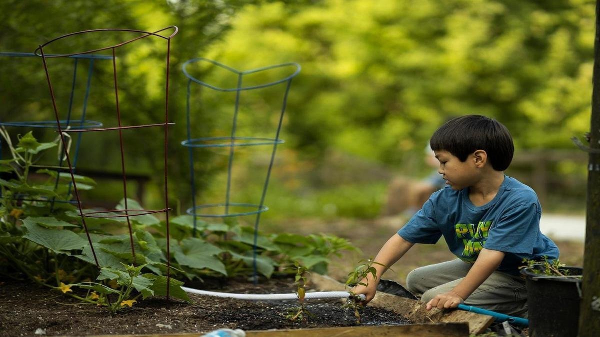 Jardinagem infantil: diversão e aprendizado para as crianças