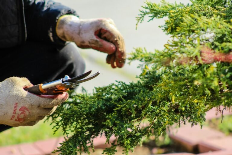 O poder terapêutico da jardinagem para saúde e bem-estar