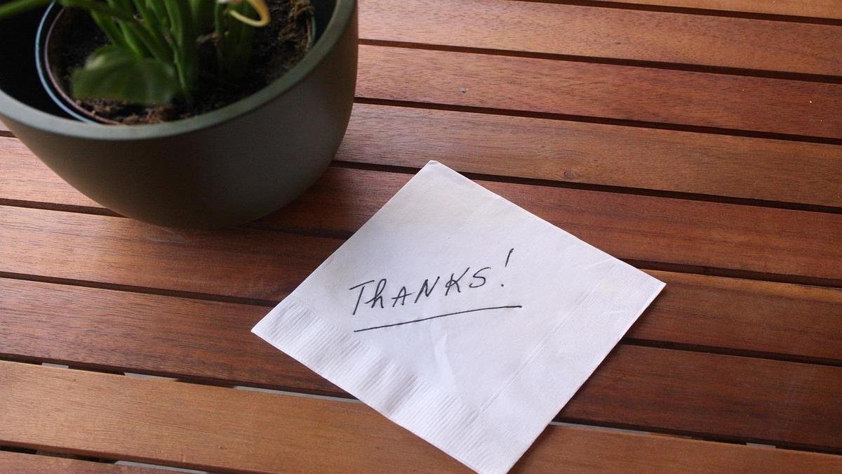 Plantas fáceis de cuidar para quarto: suculentas e opções para você