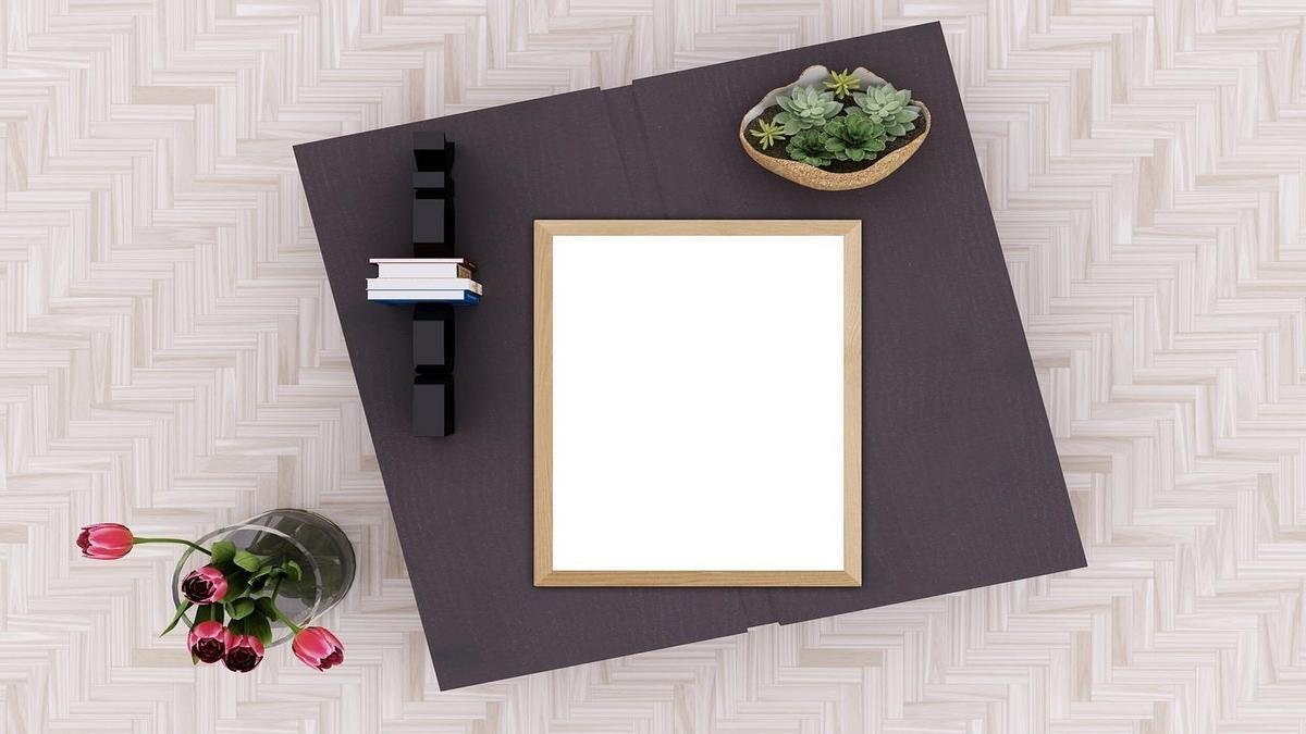 Plantas feng shui para casa e onde colocá-las para harmonizar ambientes