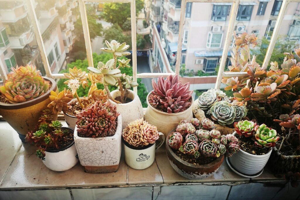 Plantas para decorar a cozinha e trazer frescor ao seu ambiente