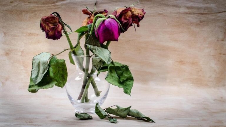 flores-que-duram-o-segredo-revelado