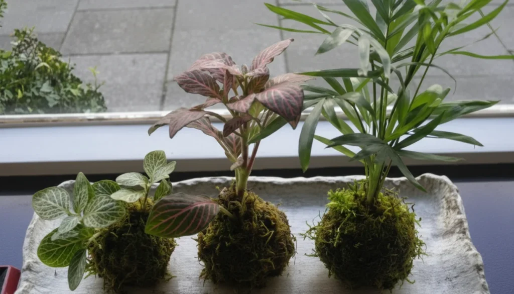 Kokedama: A Arte Japonesa em Casa