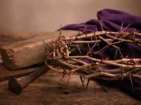 Para que Serve a Coroa de Cristo e Quais Seus Usos