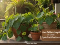 Como Cultivar Carapiá em Vasos e Resgatar Essa Relíquia Brasileira
